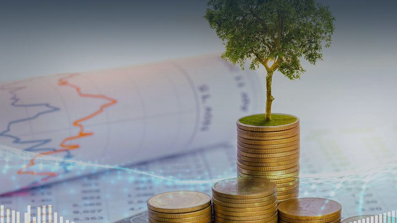 科技IPO咨询，企业腾飞的关键一步
